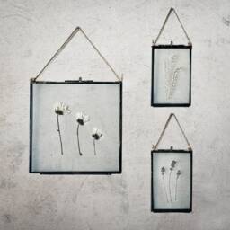 Framed Pampas Grass Wall Hanging Decor, Dried in Frame, Antique Frames, Grass, Herbarium, Home Decor - thumbnail 2