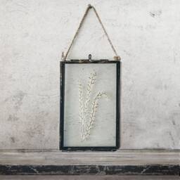 Framed Pampas Grass Wall Hanging Decor, Dried in Frame, Antique Frames, Grass, Herbarium, Home Decor - thumbnail 1