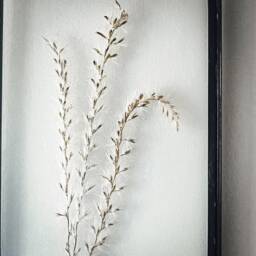 Framed Pampas Grass Wall Hanging Decor, Dried in Frame, Antique Frames, Grass, Herbarium, Home Decor - thumbnail 3