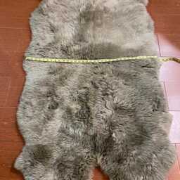 Large Xl Genuine Grey Sheepskin Rug 37X65 Inches, Real Wool Fur Hide Leather Back - thumbnail 4