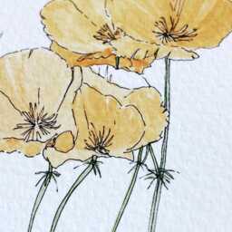 California State Flower Map Watercolor California Poppy - Art Print Wall Graduation Wedding Anniversary Realtor Moving Gift West Coast - thumbnail 2