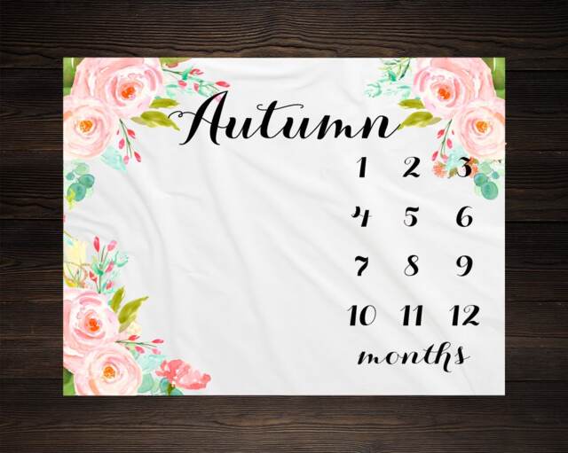 Girl Milestone Blanket Month Growth Tracker Minky Fleece Custom Personalized Baby Shower Gift Watercolor Floral Newborn - image 1