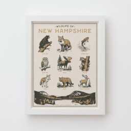 New Hampshire Wildlife Wall Art Print - Vintage Poster Design, Archival Quality Matte Fine Art Print. Outdoor, Wilderness Gift - thumbnail 2