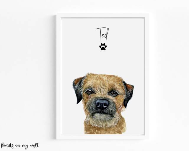 Border Terrier Print, Personalised Dog Portrait, Wall Art - image 1