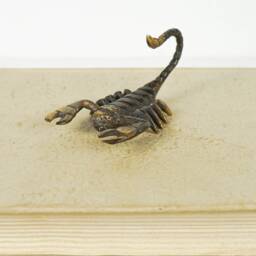 Scorpion Figurine, 3 - thumbnail 4