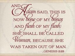 Religious Wall Decal. & Adam Said - Code 207 - thumbnail 2
