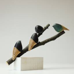 Duo Family Birds - 18 - thumbnail 4