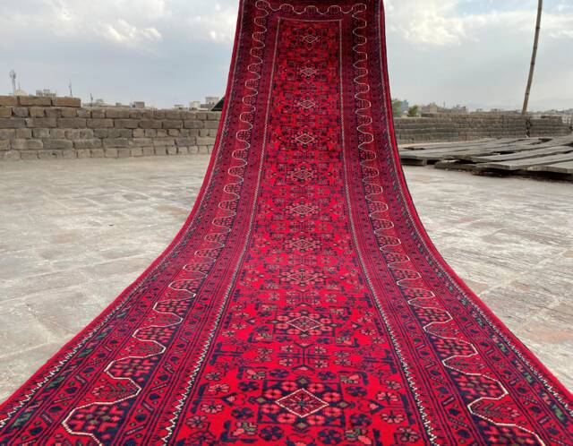 17 Ft Long Runner Rug, Best Quality Turkmen Khamyab Khal Mohammdi, Bokhara Runner, Afghan Handmade Wool Oriental, Hallway Runner 16.7 X 2.9 - image 1