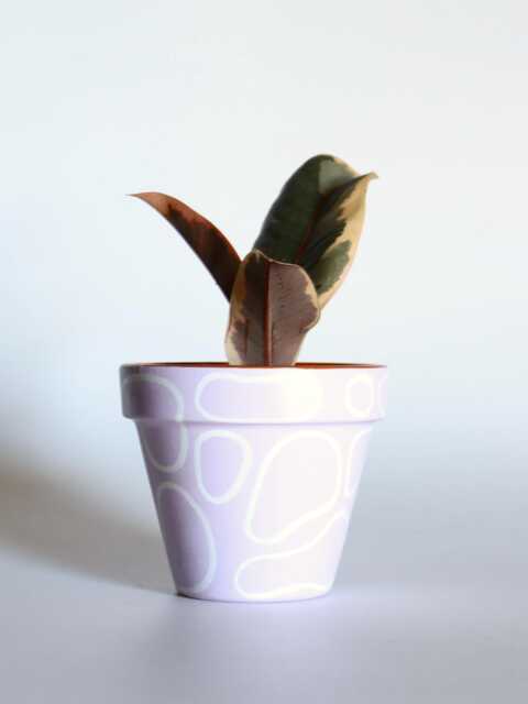 Hand Painted Terracotta Plant Pot With Drainage Customisable Colours & Size Optional Saucer - image 1