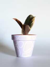 Hand Painted Terracotta Plant Pot With Drainage Customisable Colours & Size Optional Saucer - thumbnail 1