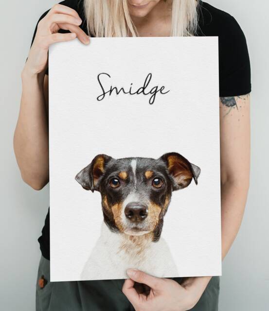 Custom Sketch Pet Portrait, Colour Pencil Drawing Style, Personalised Dog Memorial, Printed Or Cat Wall Art, Skuscr-Pctop - image 1