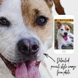 Custom Sketch Pet Portrait, Colour Pencil Drawing Style, Personalised Dog Memorial, Printed Or Cat Wall Art, Skuscr-Pctop - thumbnail 2