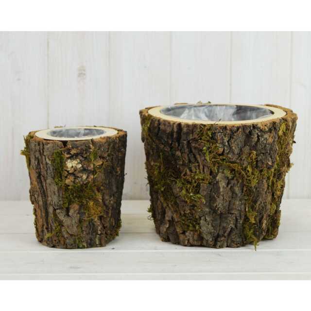 Set Of Two Mossed Bark Lined Wooden Pots - 20cm & 13cm Rustic Flower Plant Arrangement Displays - image 1