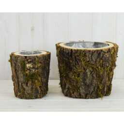Set Of Two Mossed Bark Lined Wooden Pots - 20cm & 13cm Rustic Flower Plant Arrangement Displays - thumbnail 1