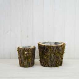 Set Of Two Mossed Bark Lined Wooden Pots - 20cm & 13cm Rustic Flower Plant Arrangement Displays - thumbnail 2