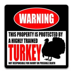 Turkey Warning Sign, Funny Farm Metal Wall Art, Coop Decor - thumbnail 3