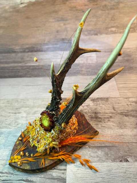 Dried Flowers Decorated Deer Skull Wall Decor Responsibly Sourced Orange Yellow - image 1