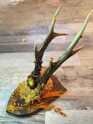 Dried Flowers Decorated Deer Skull Wall Decor Responsibly Sourced Orange Yellow - thumbnail 1
