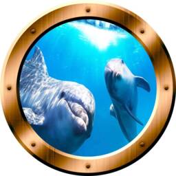 Dolphins Underwater Scene 3D Porthole Family Wall Art Ocean View Window Bronze Portal Bp8 - thumbnail 2