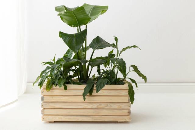 Extra Large Size Flower Container, Wooden Pot For Flowers, Farmhouse Wood Plant Stand - image 1