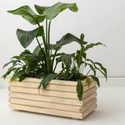 Extra Large Size Flower Container, Wooden Pot For Flowers, Farmhouse Wood Plant Stand - thumbnail 2