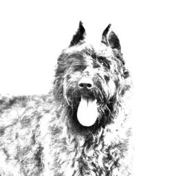Flandres Cattle Dog - Wooden Stand For Candles/Pens With The Image Of A Dog New Collection - thumbnail 2
