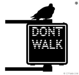 Nyc Don't Walk Sign Wall Decal Pigeon Street Art Decor - thumbnail 1