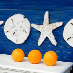 Sand Dollar & Starfish Wall Decor Salty Hugs Kisses 4 Pc Set Wooden Xoxo Beach House Lake - thumbnail 2