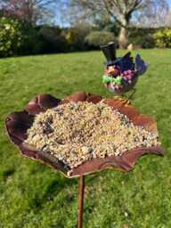 Blue Jay Bird Bath Feeder Water Bowl Seeds Birds Garden Gift Decorative Stake