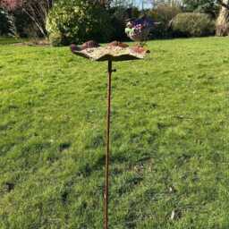 Blue Jay Bird Bath Feeder Water Bowl Seeds Birds Garden Gift Decorative Stake - thumbnail 4