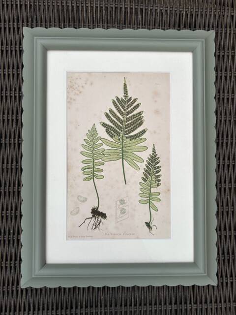 Hand Painted Scallop Wooden Picture Frame, Bespoke Made - image 1