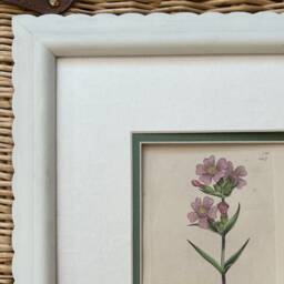 Hand Painted Scallop Wooden Picture Frame, Bespoke Made - thumbnail 3