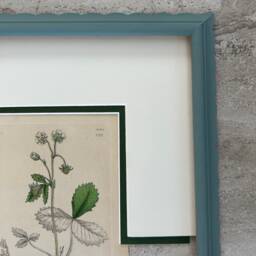 Hand Painted Scallop Wooden Picture Frame, Bespoke Made - thumbnail 2