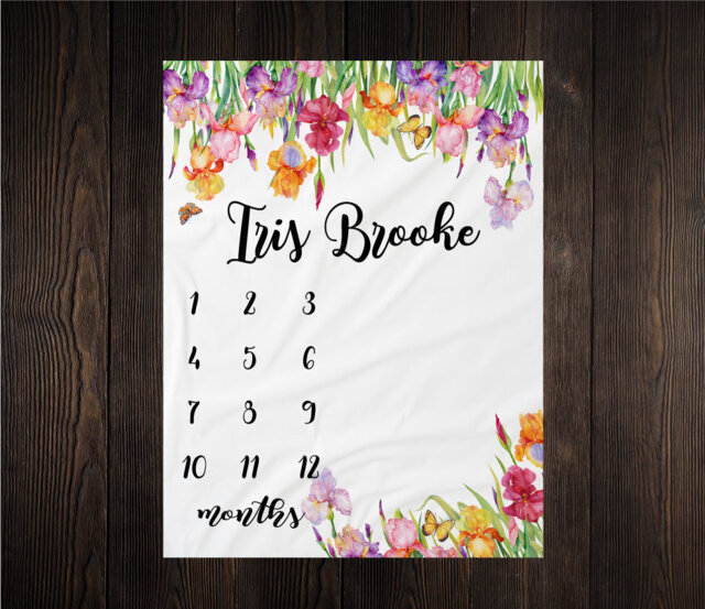 Girl Milestone Blanket Month Growth Tracker Minky Fleece Custom Personalized Baby Shower Gift Watercolor Floral Iris Newborn - image 1