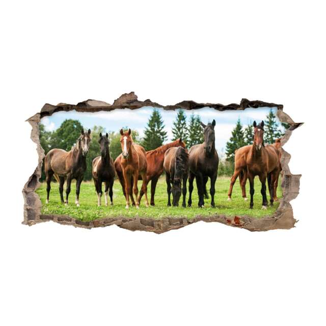 125 Wall Decals Brown Horse Herd - Hole in The Children's Room Art, Decor, Girls Riding Stickers 6 Sizes - image 1