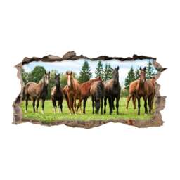 125 Wall Decals Brown Horse Herd - Hole in The Children's Room Art, Decor, Girls Riding Stickers 6 Sizes - thumbnail 1
