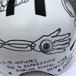 Prajna - Wisdom Bike Helmet - thumbnail 2