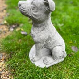 Stone/Concrete Staffordshire Bull Terrier Staffy Garden Ornament Statue - thumbnail 2