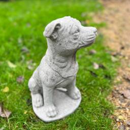 Stone/Concrete Staffordshire Bull Terrier Staffy Garden Ornament Statue - thumbnail 3