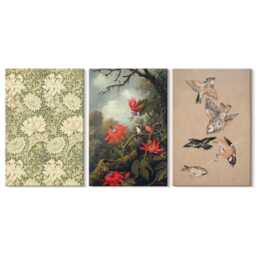 Canvas Set Of 3 Wall Art - Flowers & Birds in Natural Surroundings, Green Picture Print, Plants Hanging Piece - thumbnail 2