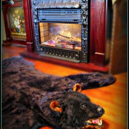 Faux Fur Bear Skin Rug With Head, Handmade Animal Friendly - thumbnail 2