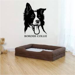 Border Collie Vinyl Wall Art, Decal, Sticker, Transfer, Mural, Removable, Decor, Rent Friendly, Interior, Exterior, Full - 0974 - thumbnail 1