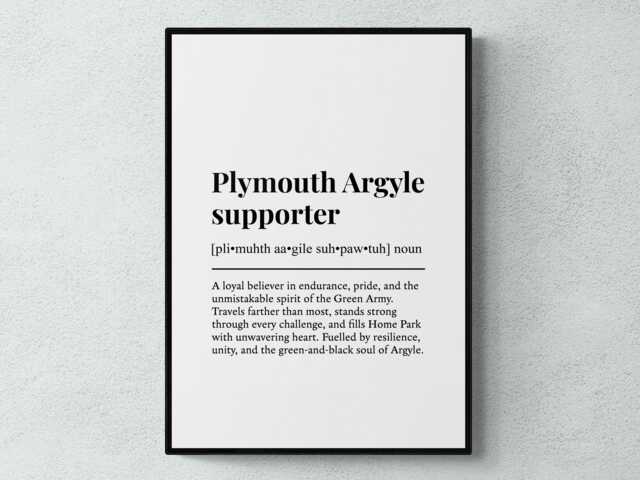 Plymouth Argyle Supporter Funny Definition Sport Football Gift Wall Art Print - image 1