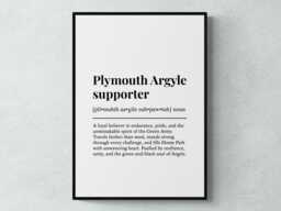 Plymouth Argyle Supporter Funny Definition Sport Football Gift Wall Art Print - thumbnail 1