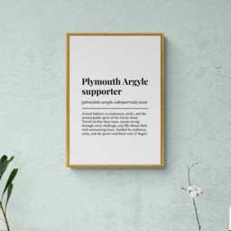 Plymouth Argyle Supporter Funny Definition Sport Football Gift Wall Art Print - thumbnail 3