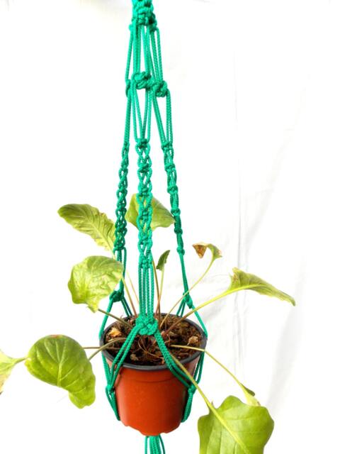 Green Mini Macrame Plant Hanger 18 Inches 3 Mm Small Hanging Planter Indoor Or Outdoor Decor Flower Pot Holder Hall Decorations Pot - image 1