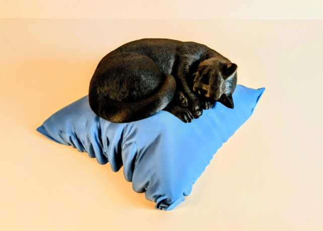 Sleeping Cat Memorial Urn 3D Printed Keepsake Ornament - image 1