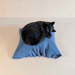 Sleeping Cat Memorial Urn 3D Printed Keepsake Ornament - thumbnail 2