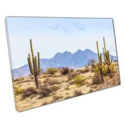 Four Peaks Mazatzal Mountains Canvas Print - Tall Saguaro Cacti Wall Art For Home Office Decor - thumbnail 1