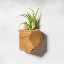 White Oak Geometric Air Plant Holder - thumbnail 3